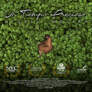 Un Tiempo Precioso copia